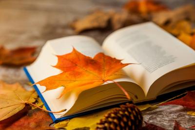 Флеш-мобы, баттлы и любимые книги: библиотеки города ждут гостей