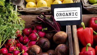 Орловцы могут принять участие в конкурсе на лучшую органическую продукцию
