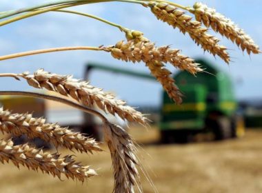 Орловских аграриев приглашают к участию в региональном конкурсе