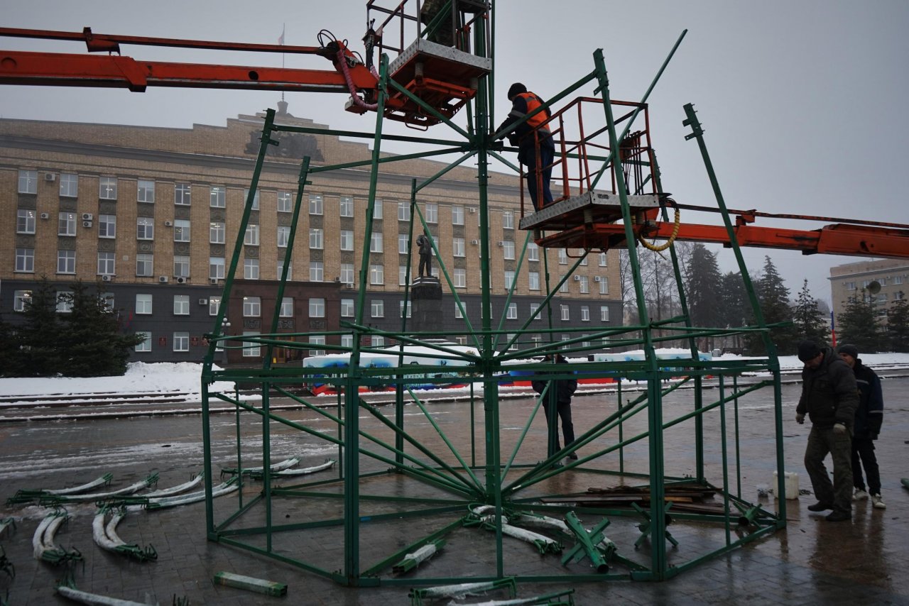 На Новый год Орёл украсят шесть вечнозеленых красавиц