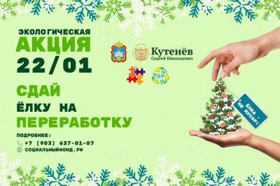 Горожанам предлагают сдать новогодние ёлки на утилизацию