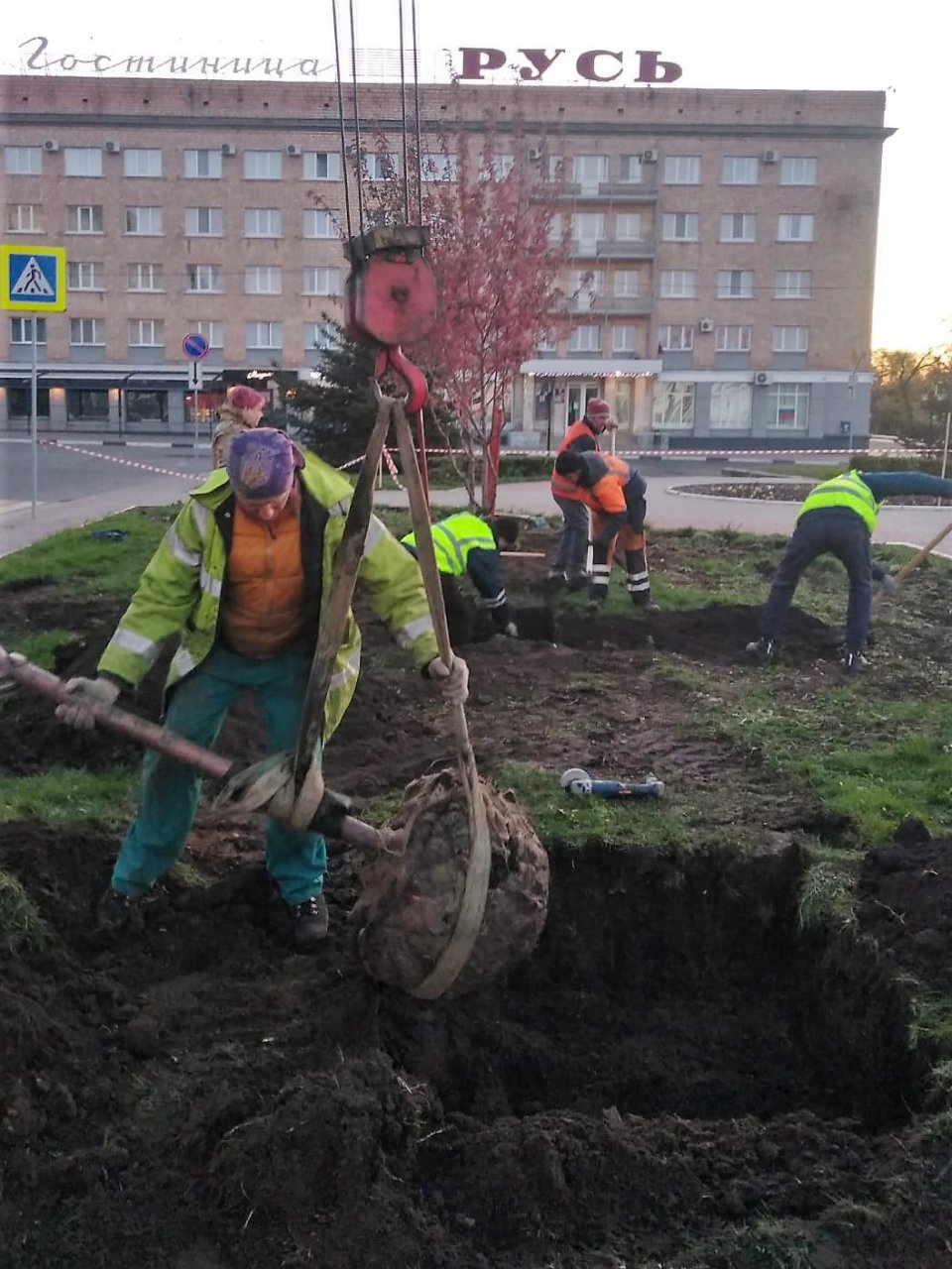 На площади Ленина появились новые яблони На площади Ленина появились новые яблони