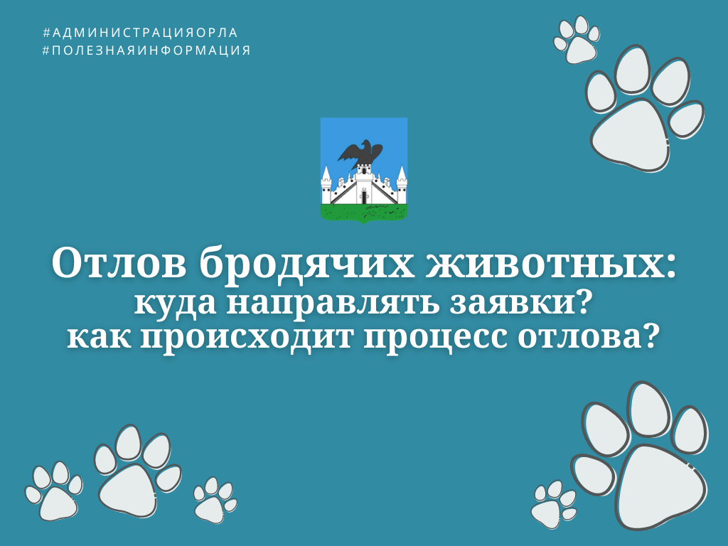 Куда направлять заявки на отлов бродячих животных? Куда направлять заявки на отлов бродячих животных?