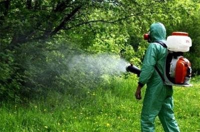 В Орле зеленые зоны повторно обрабатывают от клещей
