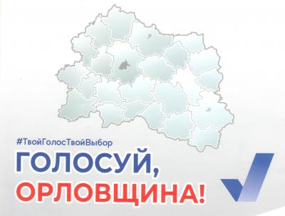 Реализовать своё активное избирательное право жители Орла смогут в течение трёх дней