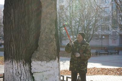 В Орле лечат памятный дуб на бульваре Победы
