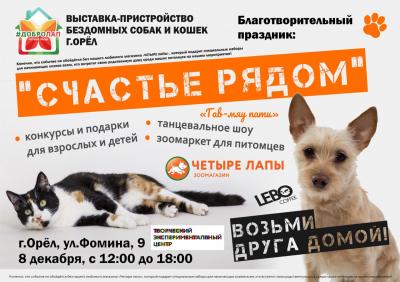 «Счастье рядом»: орловцам предлагают забрать домой четвероногого друга