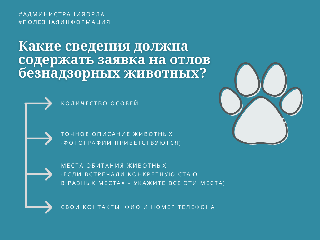 Заявка на отлов безнадзорных животных образец
