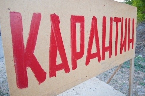 В части Заводского района объявлен карантин по бешенству животных В части Заводского района объявлен карантин по бешенству животных