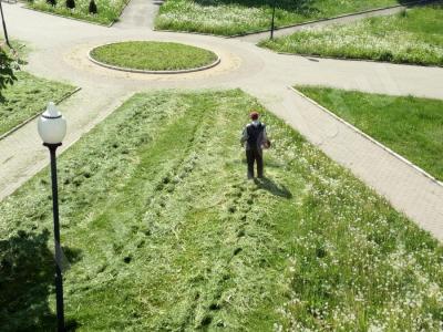 Ежедневно на покос травы выходят свыше 50 человек