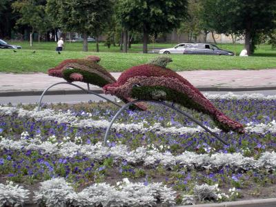 Ко Дню города на клумбах появятся новые топиарные фигуры