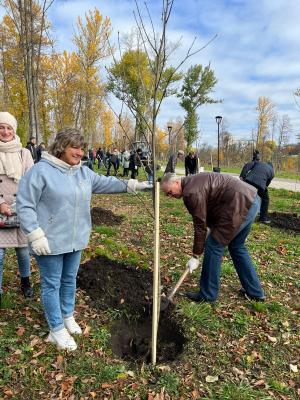 Сегодня зелёный фонд парка Победы пополнили ещё 25 рябин