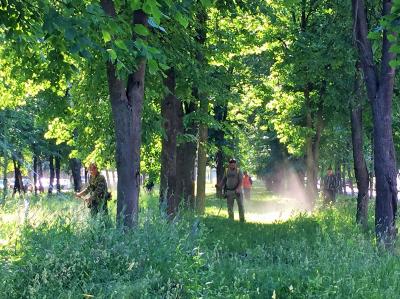 Продолжаются работы по покосу травы