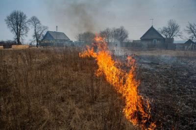 Пал травы — это административное правонарушение 