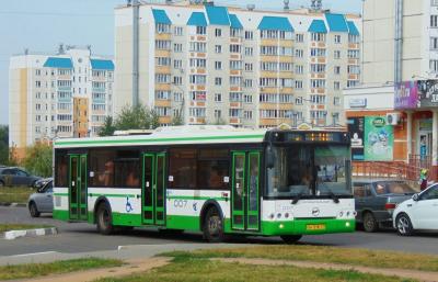МУП ТТП делает свой транспорт заметнее для пассажиров	