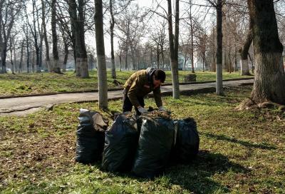 В период экологического двухмесячника на территории города высадили 763 дерева и 1620 кустарников