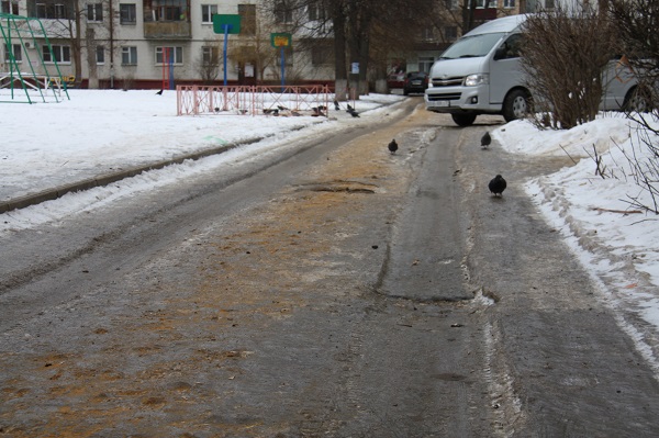 Александр Муромский требует тотального контроля за состоянием городских территорий