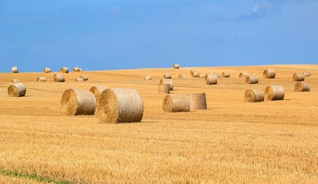 Сбережем урожай от огня, соблюдая правила безопасности!