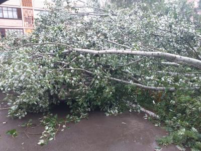 Городские службы продолжают бороться с последствиями непогоды