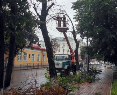 	Муниципальные предприятия продолжают работу по сносу и опиловке аварийных деревьев 