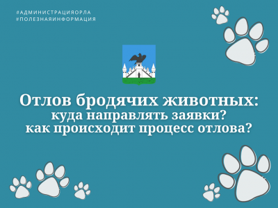 Куда направлять заявки на отлов бродячих животных?