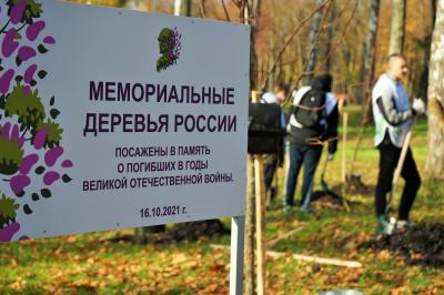 В парке Победы появились деревья, посвящённые Дню отца, и новые мемориальные деревья