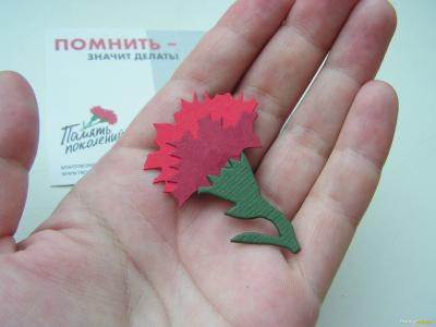 В День памяти и скорби пройдет акция «Красная гвоздика»