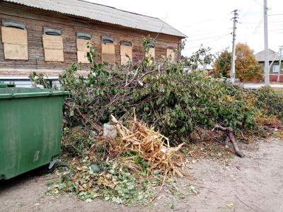 Растительные отходы оставляйте рядом с мусорными контейнерами!