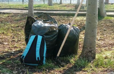 В общегородском субботнике приняли участие более 35 тысяч граждан