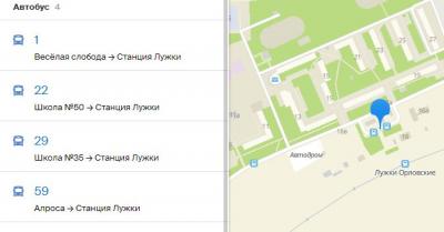 Перевозчиков, которые в выходные оставили Лужки без транспорта, привлекут к ответственности