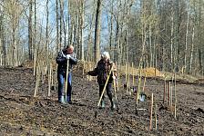 Сад Памяти (1).JPG