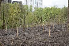 Парк Победы (19).JPG