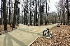 На сайт (28).JPG