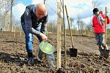 Сад Памяти (17).JPG