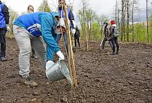 Парк Победы (5).JPG