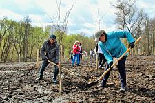 Сад Памяти (22).JPG