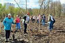 Сад Памяти (21).JPG