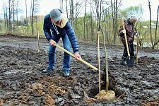 Сад Памяти (23).JPG