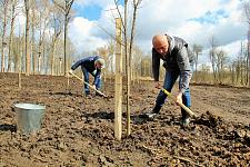 Сад Памяти (16).JPG